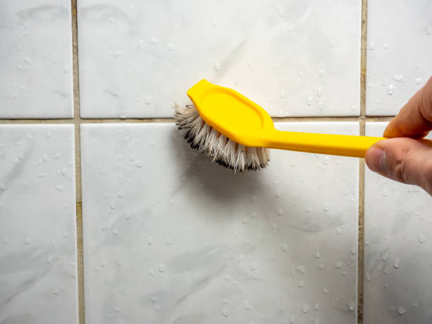 Best Attic Mold Removal  in Frederickson, WA