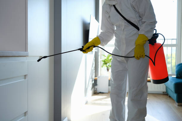 Best Certified Mold Removal  in Frederickson, WA