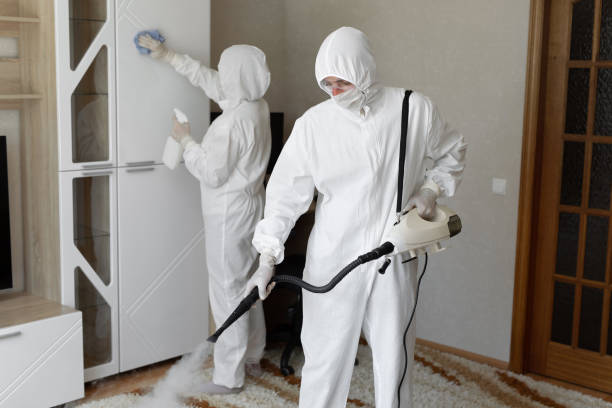 Best Mold Removal Specialists  in Frederickson, WA