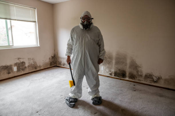 Best Home Mold Removal  in Frederickson, WA